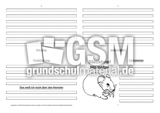 Hamster-Faltbuch-vierseitig-4.pdf